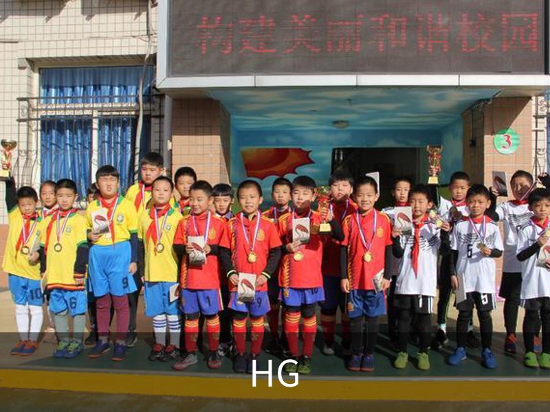HG概况